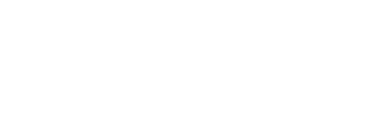 logo charpentier irigoy